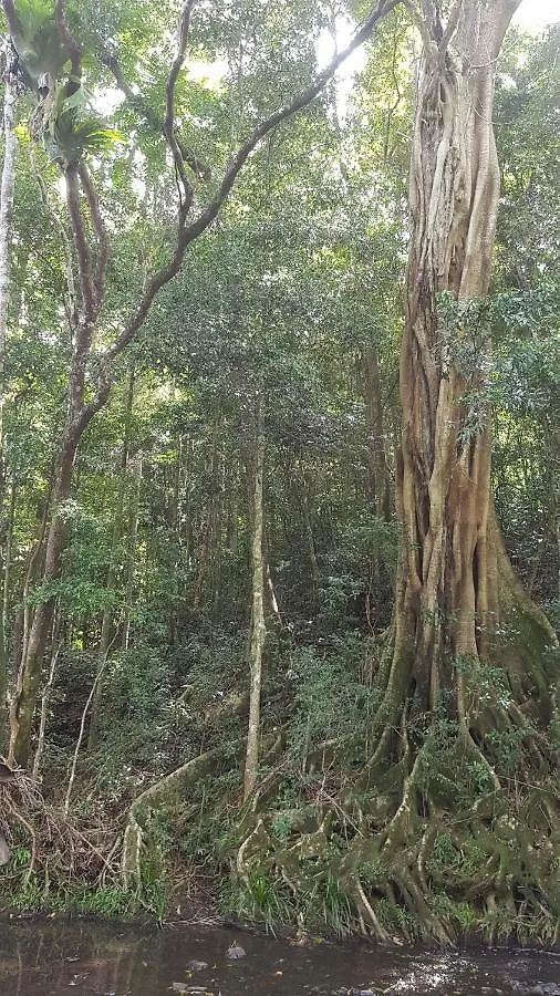 Starry Nights Luxury Camping Woombye ラグジュアリーテント